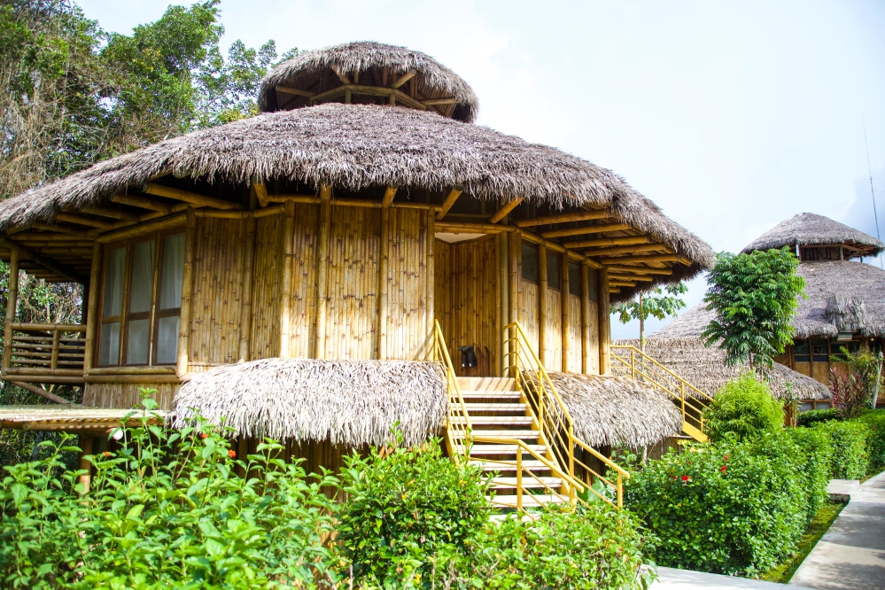 Ecuador, Amazon Travel, La Selva Lodge, Amazon Hotels,