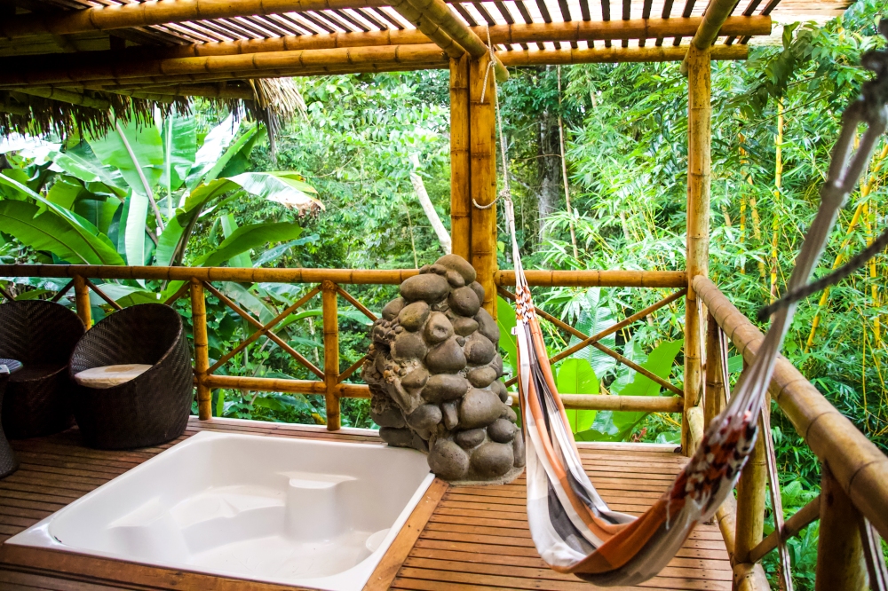 The Amazon, Ecuador Travel, Amazon Hotels, La Selva Lodge, Eco tourism, Jungle Lodge,
