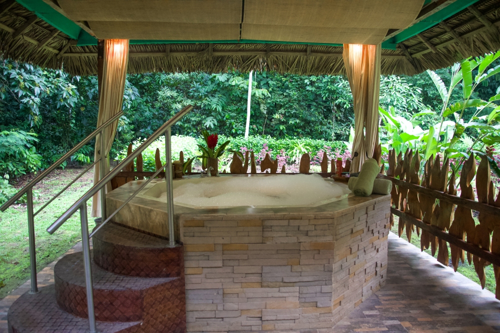 Ecuador travel, ecotourism, La Selva Lodge, Amazon hotels, Amazon tours, Jungle lodges