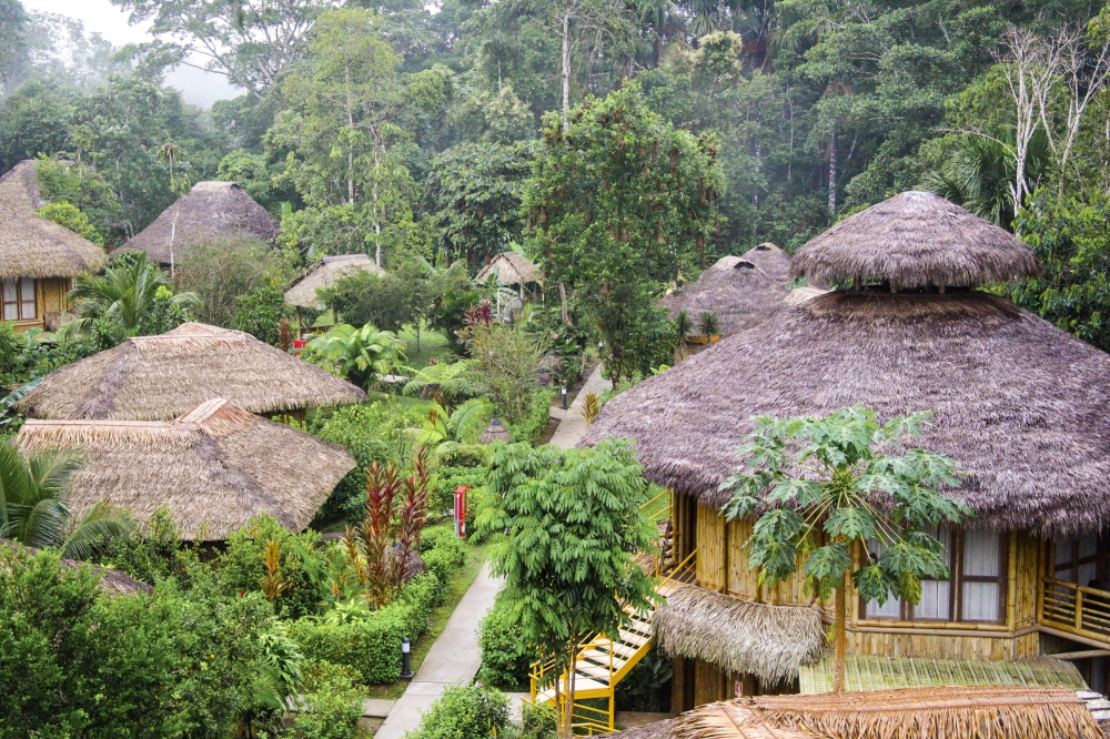 ecuador, amazon travel, la selva lodge, ecotourism, visit the amazon, jungle lodges 